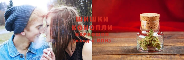 сатива Абинск