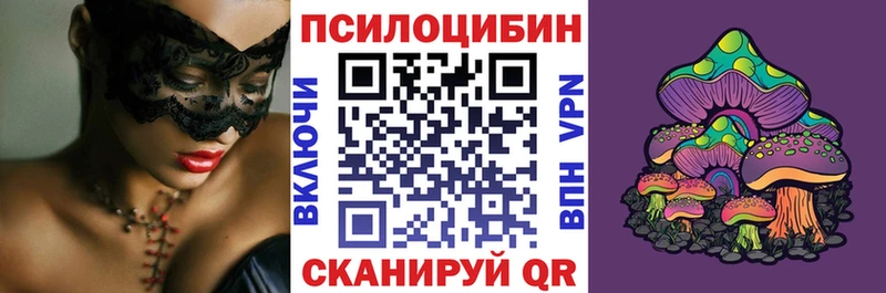Псилоцибиновые грибы Psilocybine cubensis  Тихвин 